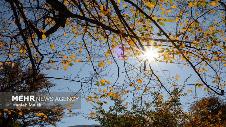 تصاویر زیبا و دیدنی از جنگل های پاییزی گرگان