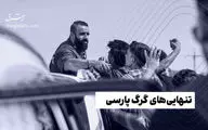 تنهایی‌های گرگ پارسی