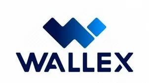 والکس: هیچ تحریمی علیه صرافی‌های رمزارزی داخلی وجود ندارد