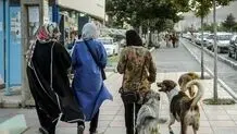 ممنوعیت سگ‌گردانی در سایه تجارت بی‌ضابطه سگ‌فروشی