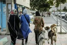 ممنوعیت سگ‌گردانی در سایه تجارت بی‌ضابطه سگ‌فروشی