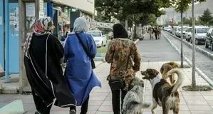 ممنوعیت سگ‌گردانی در سایه تجارت بی‌ضابطه سگ‌فروشی