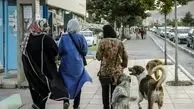 ممنوعیت سگ‌گردانی در سایه تجارت بی‌ضابطه سگ‌فروشی