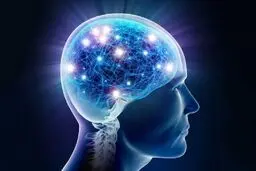 هوش ارثی است یا اکتسابی ؟  