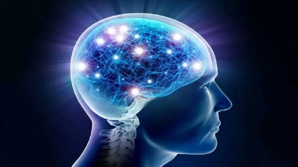 هوش ارثی است یا اکتسابی ؟  