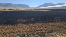 آتش سوزی مزارع گندم روستای دستگرد  