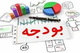 تنهایی نمی‌شود  بودجه قطع کرد

