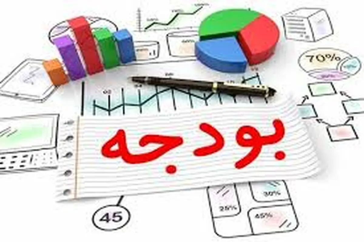 تنهایی نمی‌شود  بودجه قطع کرد

