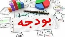 تنهایی نمی‌شود  بودجه قطع کرد

