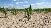 چگونه پروژه‌های محیط‌زیستی ناتمام می‌مانند؟

