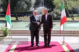 Iran FM terms UNSC resolution on Gaza ceasefire a victory