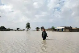 آخرین وضعیت سیل و آبگرفتگی در ۸ استان کشور؛ سیل‌زدگان مراقب تمساح باشند/ ویدئو و تصاویر
