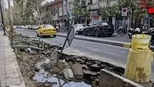 علت جابه‌جایی درختان کهنسال خیابان فلسطین چه بود؟