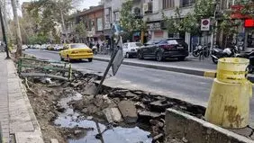 علت جابه‌جایی درختان کهنسال خیابان فلسطین چه بود؟