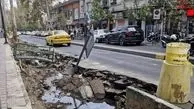 علت جابه‌جایی درختان کهنسال خیابان فلسطین چه بود؟