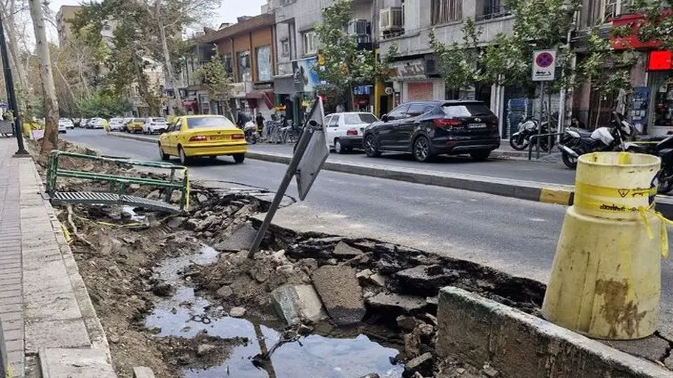 علت جابهجایی درختان کهنسال خیابان فلسطین چه بود؟