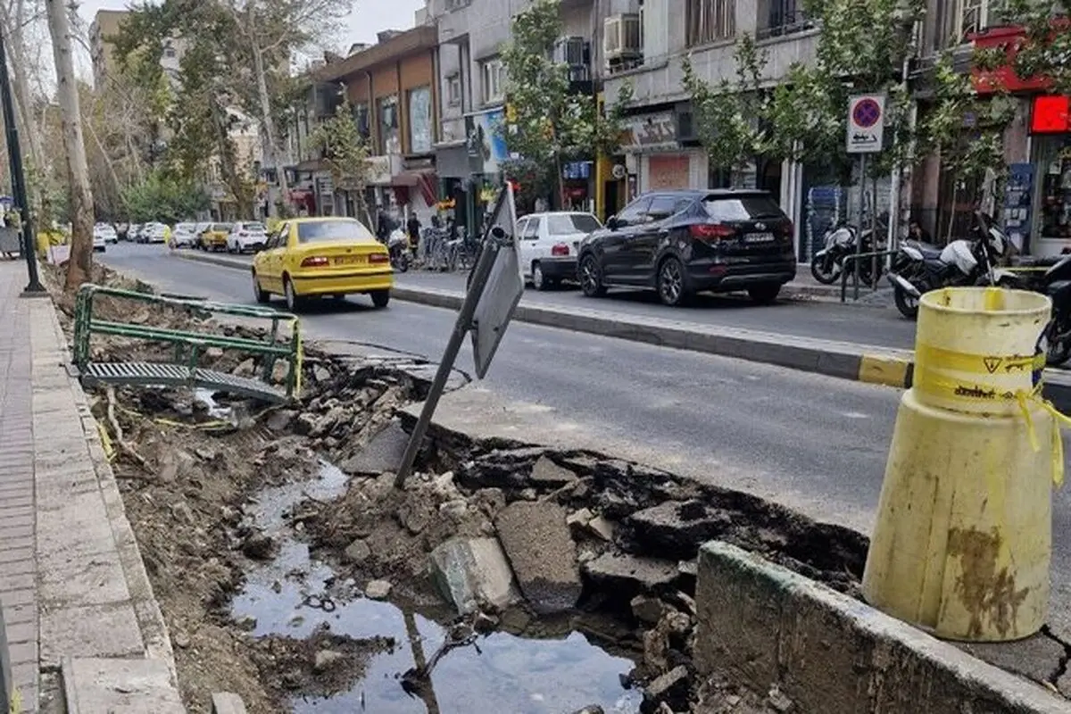 علت جابه‌جایی درختان کهنسال خیابان فلسطین چه بود؟