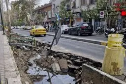 علت جابه‌جایی درختان کهنسال خیابان فلسطین چه بود؟