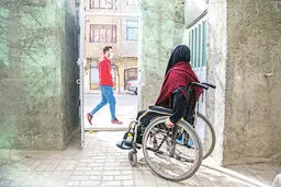 صرفا برای فراموش نکردن «شرم»