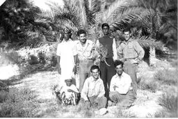 جنوب‌ فرودستان