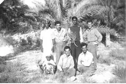 جنوب‌ فرودستان