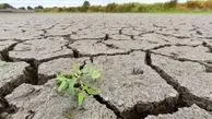 ۱۰۴ هزار هکتار از اراضی ملی همدان در معرض بیابان‌زایی