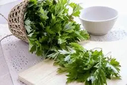 دشمن گیاهیِ سرطان روده بزرگ شناسایی شد
