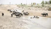 دیپلماسی 
پشت سد
