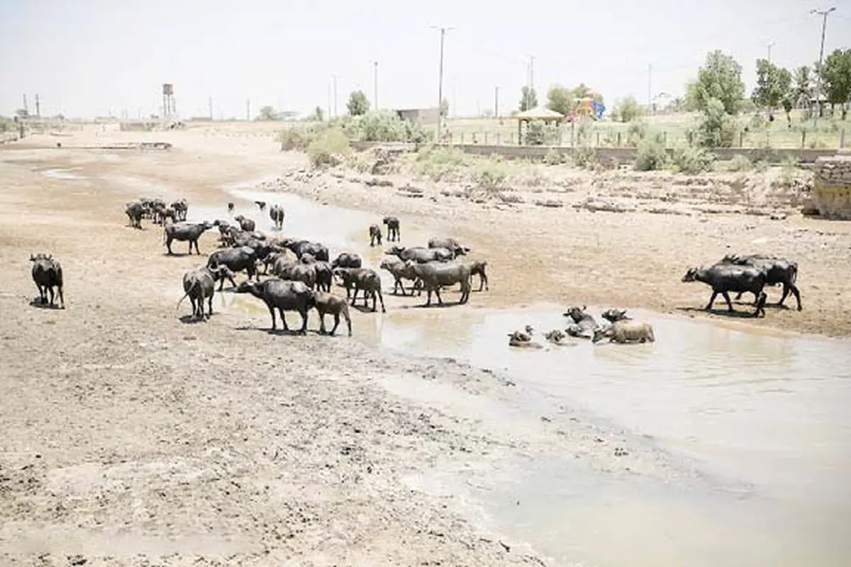 دیپلماسی 
پشت سد
