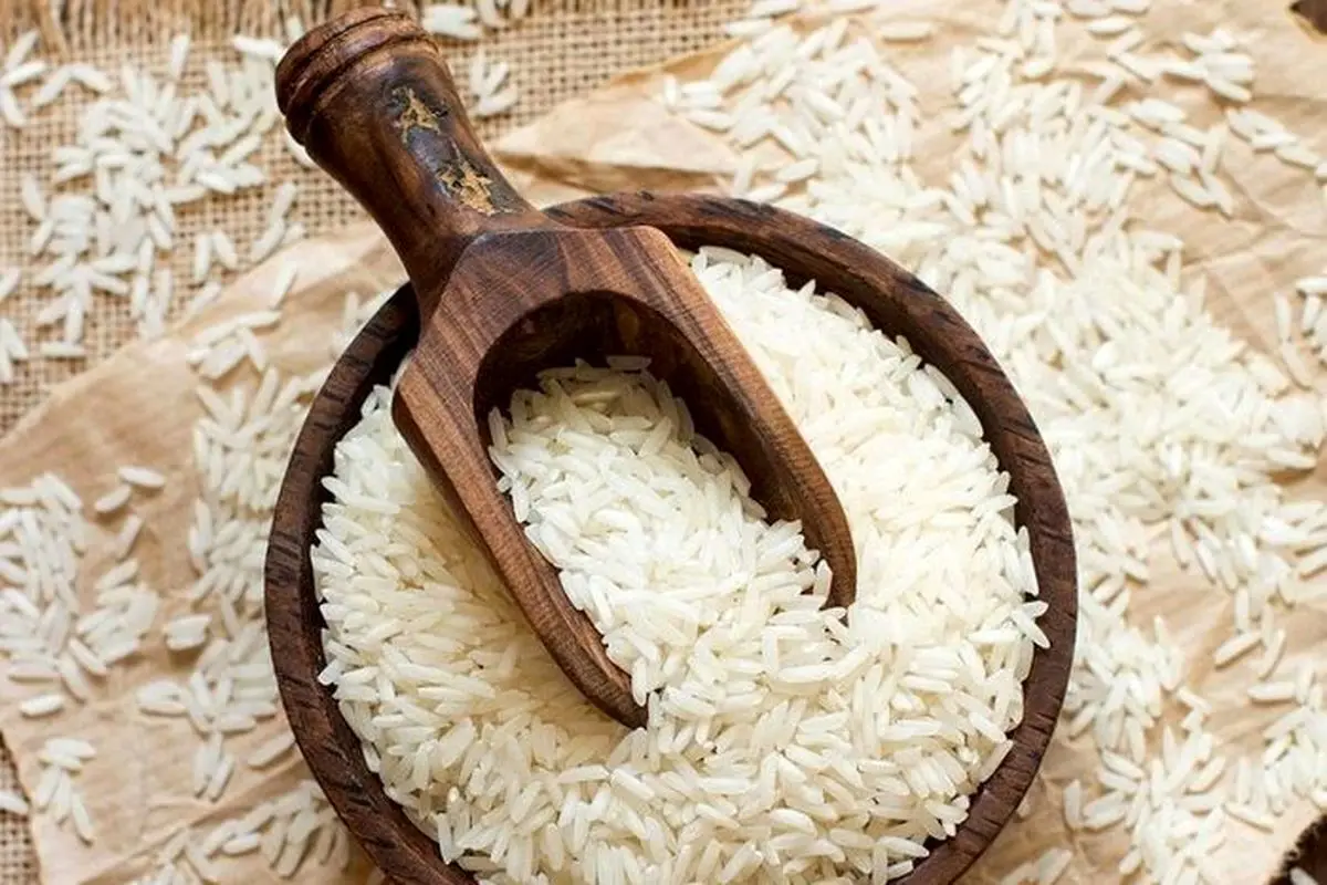 یک دلیل عجیب برای گرانی برنج مطرح شد+ویدئو