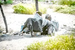 «اچ‌آی‌وی» در بیابان‌های آزادگان‌