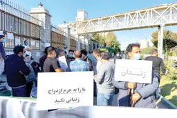 مشت نمونه خروار