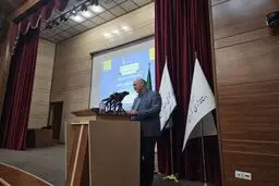 ۸۰ درصد آسیبهای اجتماعی متعلق به تهران است 