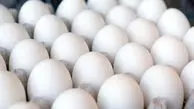 کاهش چشمگیر قیمت تخم مرغ در بازار
