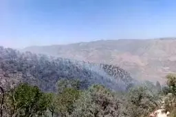 آتش ارتفاعات سریوان گیلانغرب را فرا گرفت
