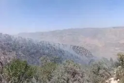 آتش ارتفاعات سریوان گیلانغرب را فرا گرفت