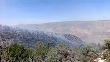 آتش ارتفاعات سریوان گیلانغرب را فرا گرفت