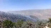 آتش ارتفاعات سریوان گیلانغرب را فرا گرفت
