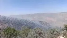 آتش ارتفاعات سریوان گیلانغرب را فرا گرفت