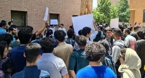 این غذا را خودتان هم نمی‌خورید