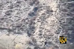 عملیات مهار هوایی آتش‌سوزی جنگل‌های چالوس را ببینید + ویدیو