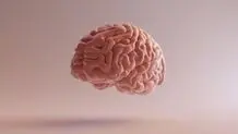 ۶ میوه تقویت کننده حافظه
