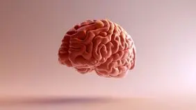 ۶ میوه تقویت کننده حافظه
