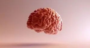 ۶ میوه تقویت کننده حافظه
