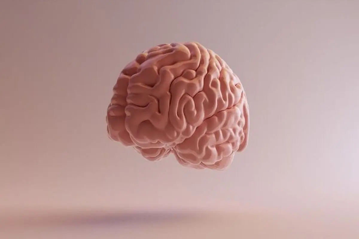 ۶ میوه تقویت کننده حافظه
