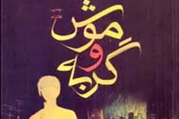 گستره علایق فانی در آثارش

