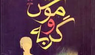 گستره علایق فانی در آثارش

