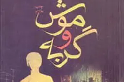 گستره علایق فانی در آثارش

