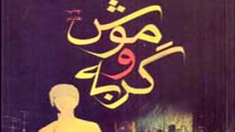 گستره علایق فانی در آثارش

