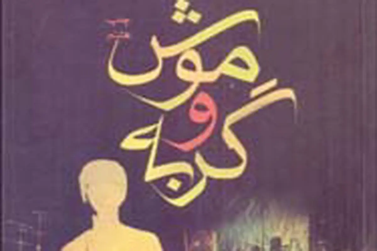 گستره علایق فانی در آثارش

